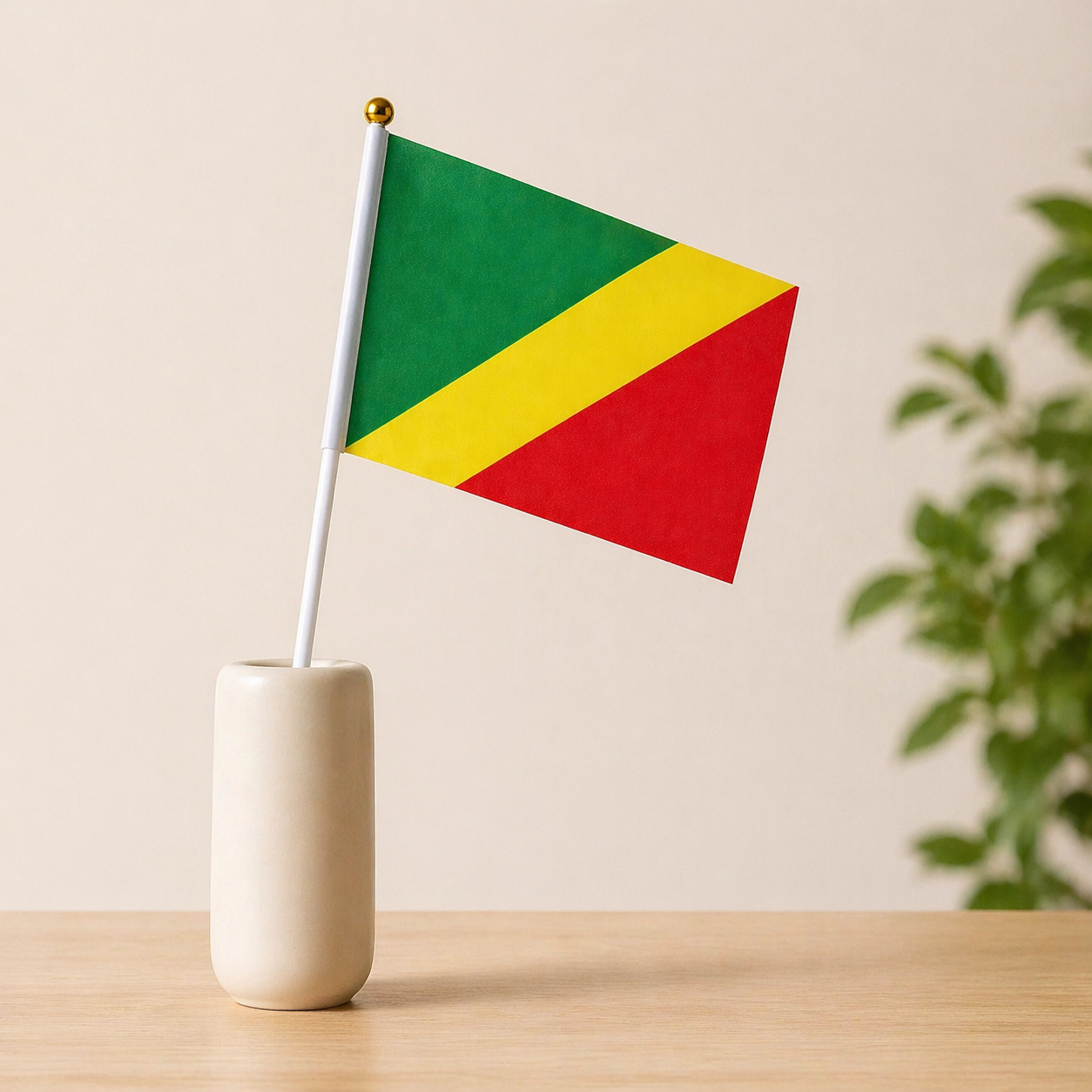 🇨🇬 Lots de 5 drapeaux.